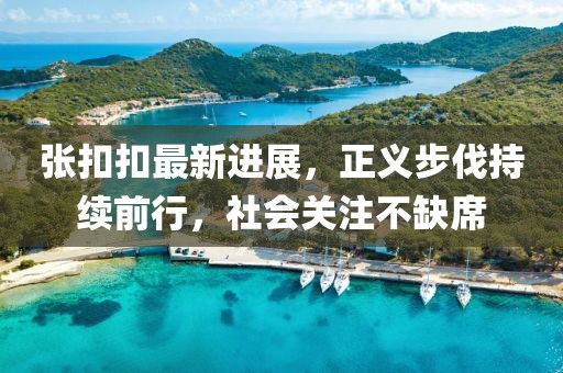 張扣扣最新進(jìn)展，正義步伐持續(xù)前行，社會關(guān)注不缺席