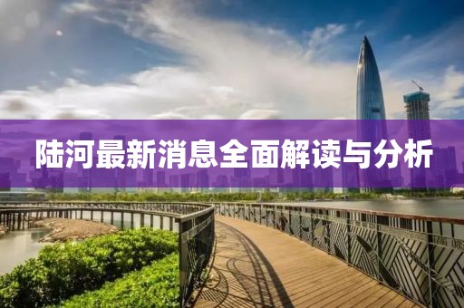 陸河最新消息全面解讀與分析