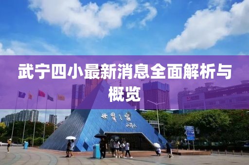 武寧四小最新消息全面解析與概覽