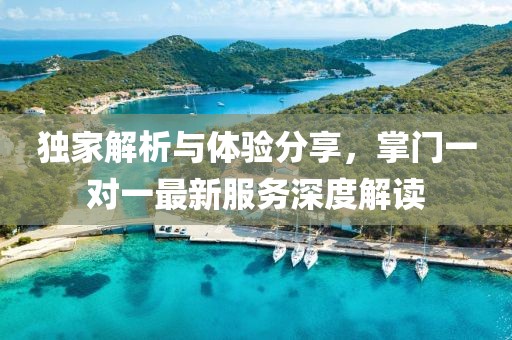 獨(dú)家解析與體驗(yàn)分享，掌門一對(duì)一最新服務(wù)深度解讀