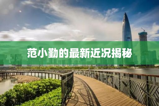 范小勤的最新近況揭秘