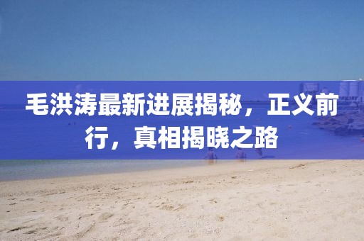 毛洪濤最新進(jìn)展揭秘，正義前行，真相揭曉之路