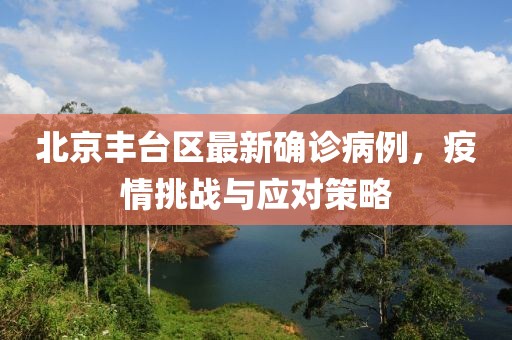 北京豐臺區(qū)最新確診病例，疫情挑戰(zhàn)與應(yīng)對策略