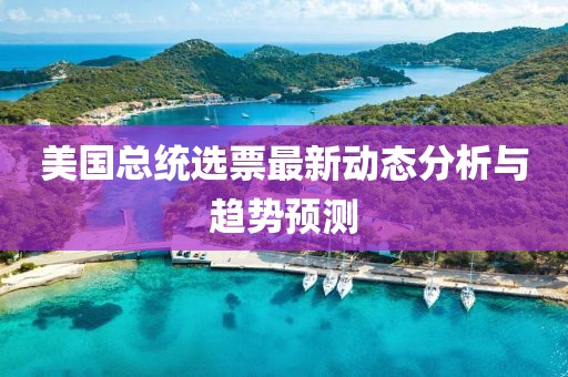 美國總統(tǒng)選票最新動態(tài)分析與趨勢預測