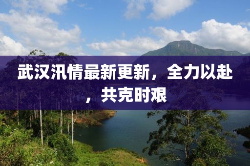 武漢汛情最新更新，全力以赴，共克時艱