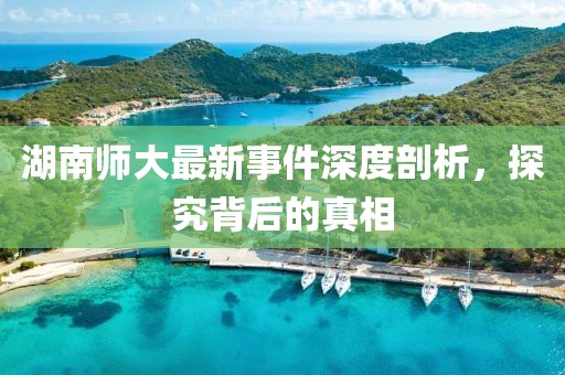 湖南師大最新事件深度剖析，探究背后的真相