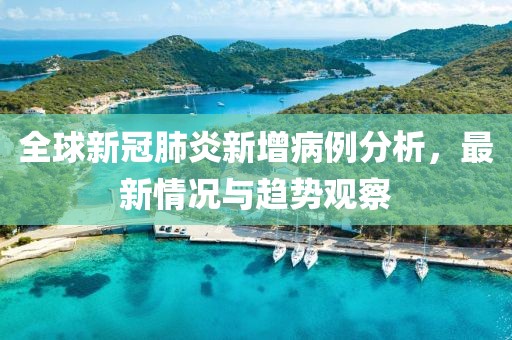 全球新冠肺炎新增病例分析，最新情況與趨勢(shì)觀察