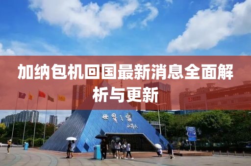 加納包機回國最新消息全面解析與更新