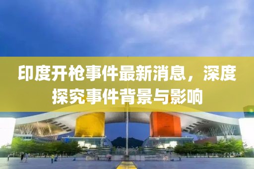 印度開(kāi)槍事件最新消息，深度探究事件背景與影響