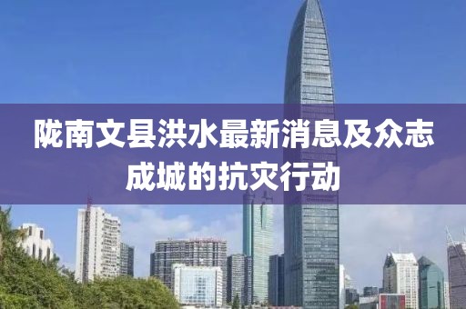 隴南文縣洪水最新消息及眾志成城的抗災行動