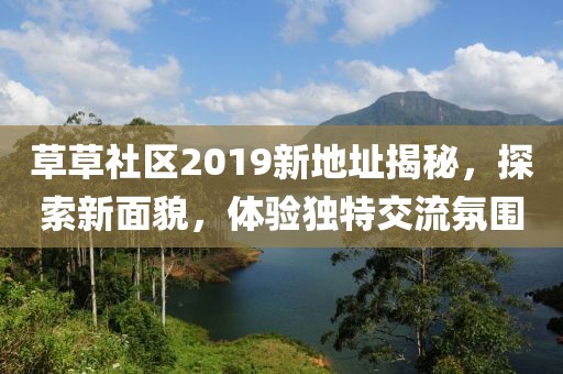 草草社區(qū)2019新地址揭秘，探索新面貌，體驗(yàn)獨(dú)特交流氛圍