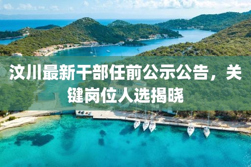 汶川最新干部任前公示公告，關鍵崗位人選揭曉