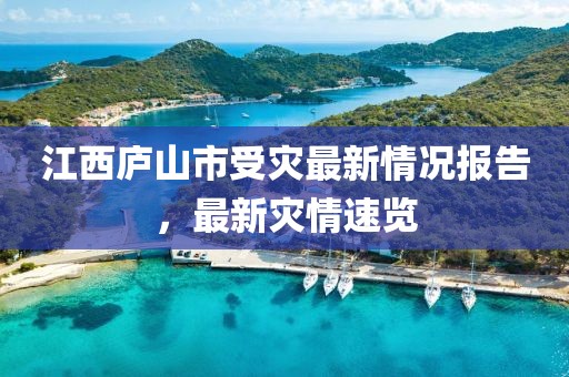 江西廬山市受災(zāi)最新情況報(bào)告，最新災(zāi)情速覽