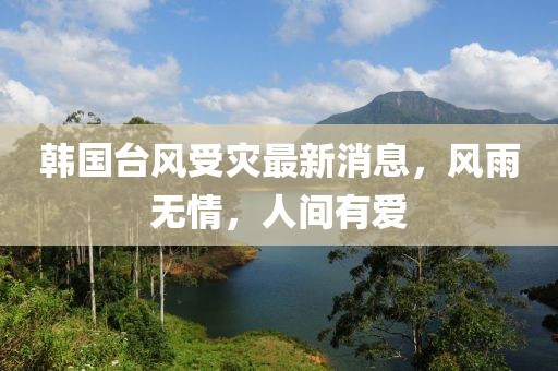 韓國臺風受災最新消息，風雨無情，人間有愛
