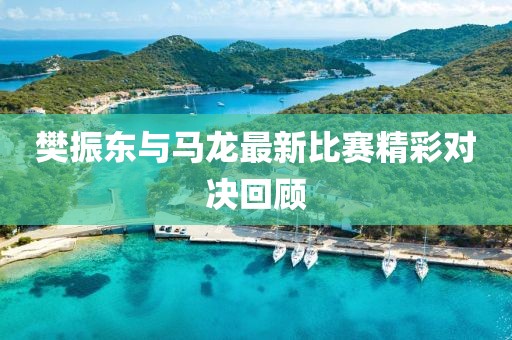 樊振東與馬龍最新比賽精彩對決回顧