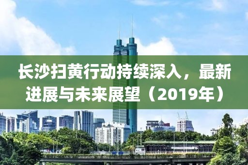 長沙掃黃行動(dòng)持續(xù)深入，最新進(jìn)展與未來展望（2019年）