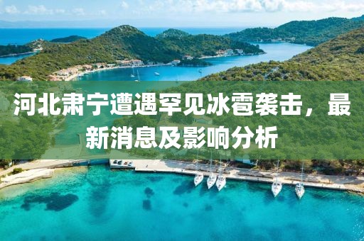 河北肅寧遭遇罕見(jiàn)冰雹襲擊，最新消息及影響分析