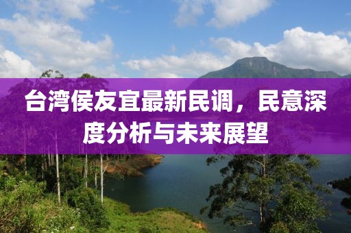臺灣侯友宜最新民調(diào)，民意深度分析與未來展望