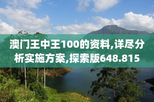 澳門王中王100的資料,詳盡分析實施方案,探索版648.815
