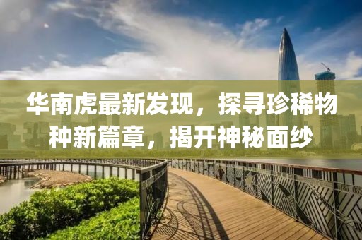 華南虎最新發(fā)現(xiàn)，探尋珍稀物種新篇章，揭開神秘面紗