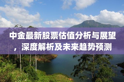 中金最新股票估值分析與展望，深度解析及未來趨勢預(yù)測