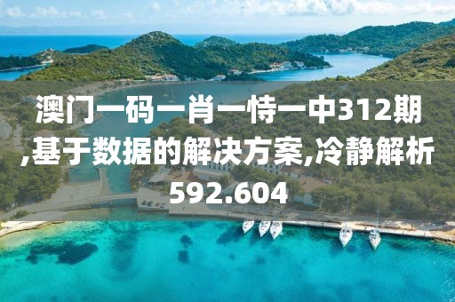 澳門一碼一肖一恃一中312期,基于數(shù)據(jù)的解決方案,冷靜解析592.604