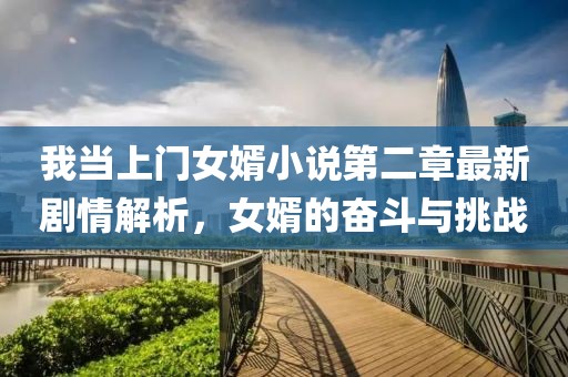 我當(dāng)上門女婿小說第二章最新劇情解析，女婿的奮斗與挑戰(zhàn)