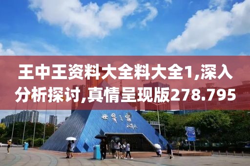 王中王資料大全料大全1,深入分析探討,真情呈現(xiàn)版278.795