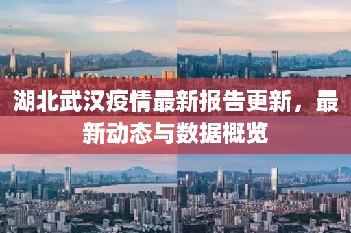 湖北武漢疫情最新報告更新，最新動態(tài)與數(shù)據(jù)概覽