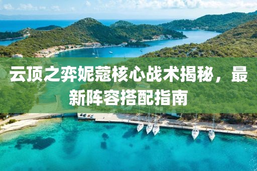 云頂之弈妮蔻核心戰(zhàn)術(shù)揭秘，最新陣容搭配指南