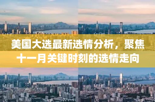 美國大選最新選情分析，聚焦十一月關(guān)鍵時(shí)刻的選情走向