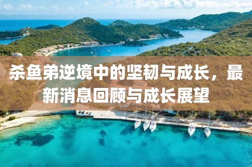 殺魚弟逆境中的堅(jiān)韌與成長，最新消息回顧與成長展望