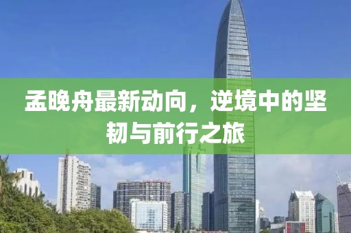 孟晚舟最新動(dòng)向，逆境中的堅(jiān)韌與前行之旅