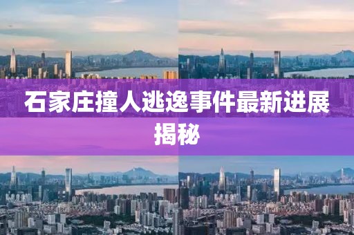 石家莊撞人逃逸事件最新進展揭秘