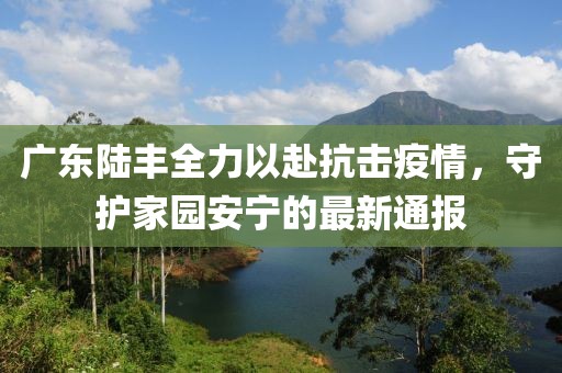 廣東陸豐全力以赴抗擊疫情，守護家園安寧的最新通報