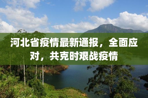 河北省疫情最新通報，全面應(yīng)對，共克時艱戰(zhàn)疫情