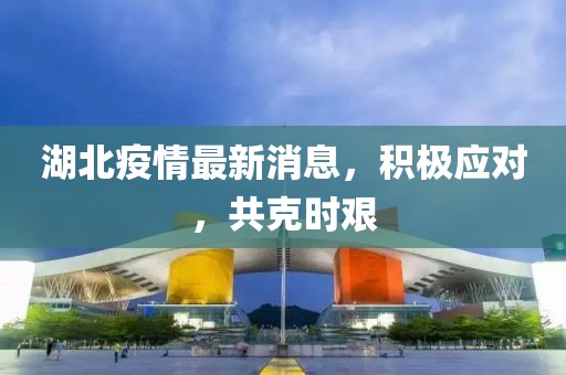 湖北疫情最新消息，積極應對，共克時艱
