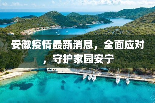 安徽疫情最新消息，全面應(yīng)對，守護(hù)家園安寧
