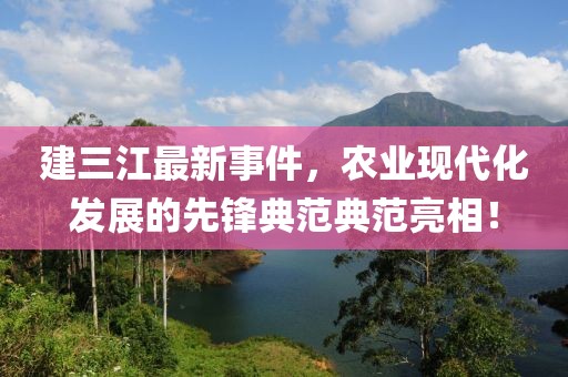 建三江最新事件，農(nóng)業(yè)現(xiàn)代化發(fā)展的先鋒典范典范亮相！