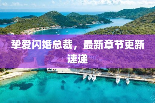 摯愛閃婚總裁，最新章節(jié)更新速遞