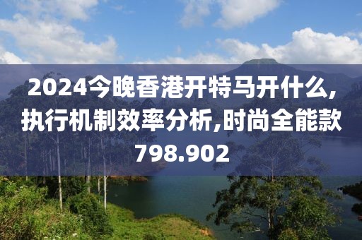 2024今晚香港開特馬開什么,執(zhí)行機制效率分析,時尚全能款798.902