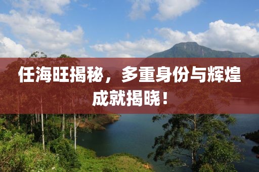 任海旺揭秘，多重身份與輝煌成就揭曉！