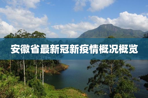安徽省最新冠新疫情概況概覽
