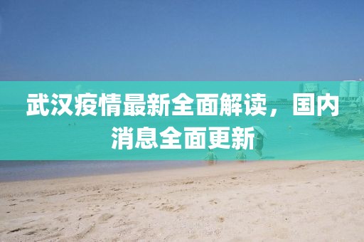 武漢疫情最新全面解讀，國內(nèi)消息全面更新