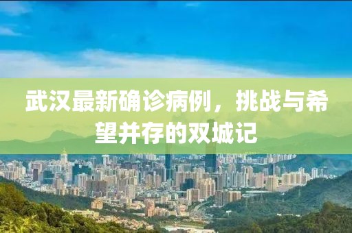 武漢最新確診病例，挑戰(zhàn)與希望并存的雙城記