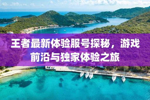 王者最新體驗(yàn)服號(hào)探秘，游戲前沿與獨(dú)家體驗(yàn)之旅