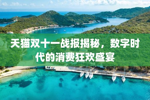 天貓雙十一戰(zhàn)報揭秘，數(shù)字時代的消費狂歡盛宴