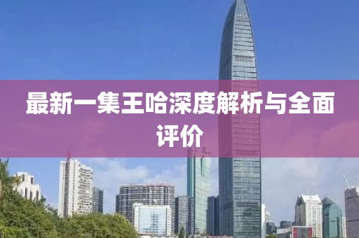 最新一集王哈深度解析與全面評價(jià)