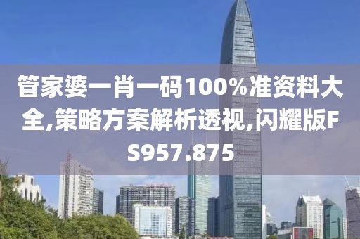 管家婆一肖一碼100%準資料大全,策略方案解析透視,閃耀版FS957.875