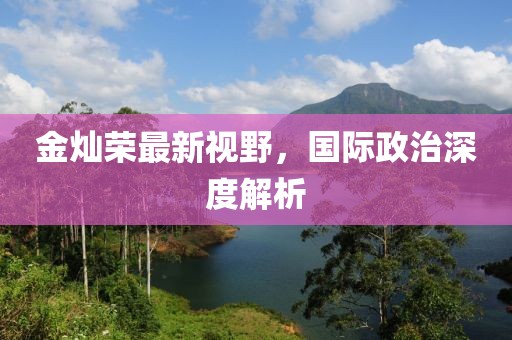 金燦榮最新視野，國(guó)際政治深度解析